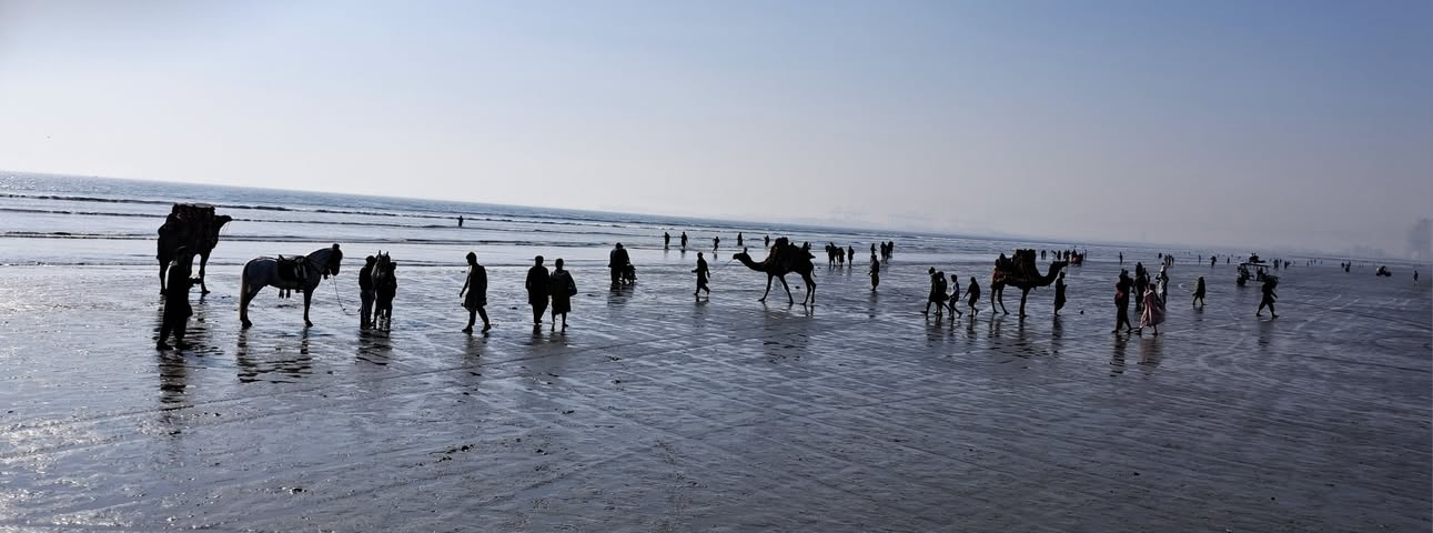 pkz _ clifton beach.png